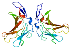 NICTH with secondary acromegaloid changes and severe hypoglycemia due to potentially insulin-like growth factor-2 mediated effects